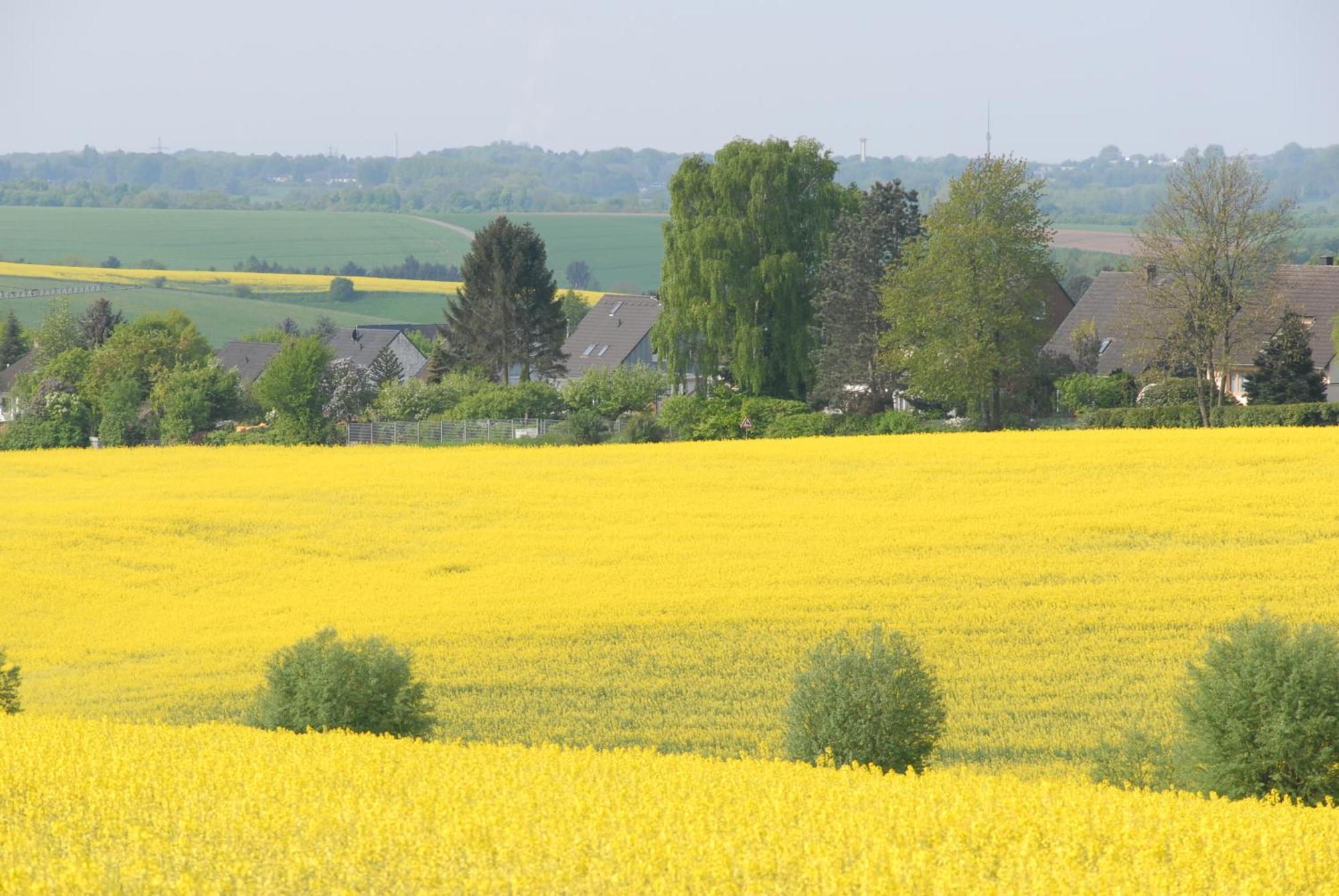Close To Nature,airport, Fair Apartment Ratingen