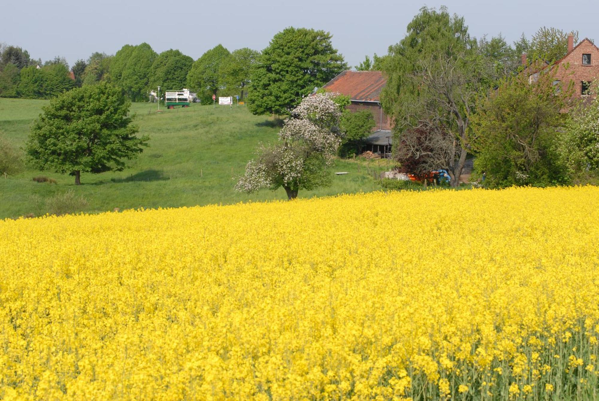 Apartment Close To Nature,airport, Fair *